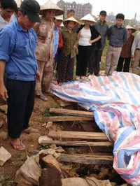 Xác ướp có số phận hẩm hiu ở vườn đào Nhật Tân ảnh 2