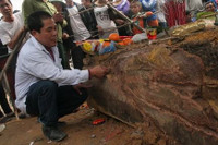 Xác ướp có số phận hẩm hiu ở vườn đào Nhật Tân ảnh 4