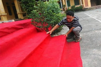 Rộn ràng trước ngày khai trường ảnh 2 Rộn ràng trước ngày khai trường ảnh 2