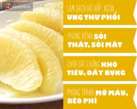 5 loại trái cây Việt Nam được xếp hạng “thuốc thần“ ảnh 2