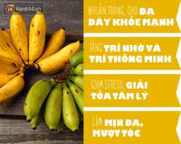 5 loại trái cây Việt Nam được xếp hạng “thuốc thần“ ảnh 5