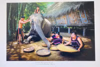 Buôn Ma Thuột - Đắk Lắk hội nhập và phát triển