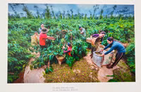 Buôn Ma Thuột - Đắk Lắk hội nhập và phát triển