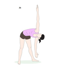 Cách tập để vòng 2 bớt “phì nhiêu” ảnh 5 Cách tập để vòng 2 bớt “phì nhiêu” ảnh 5