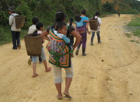 Cố gắng đưa học sinh miền núi tới trường ảnh 1