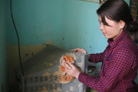 Yên Bái: Thầy, cô giáo dồn sức khắc phục sau mưa lũ ảnh 8