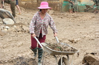 Yên Bái: Thầy, cô giáo dồn sức khắc phục sau mưa lũ ảnh 6