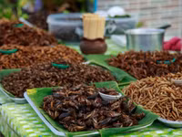 Những món ăn kinh dị nhất thế giới ảnh 4