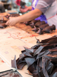 Những món ăn kinh dị nhất thế giới ảnh 8