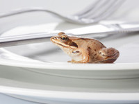 Những món ăn kinh dị nhất thế giới ảnh 3