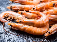 Những món ăn kinh dị nhất thế giới ảnh 6