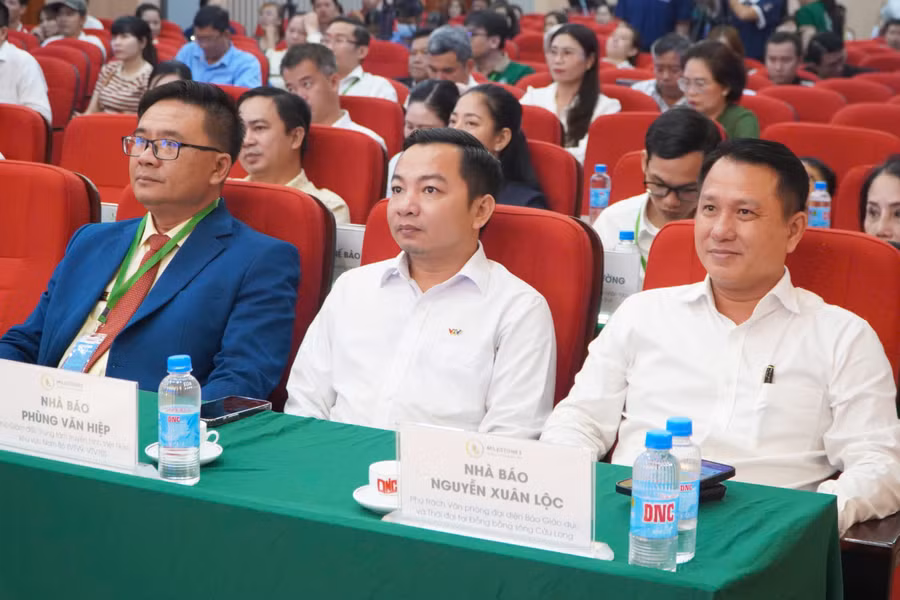 0-stem-dnc-13.jpg