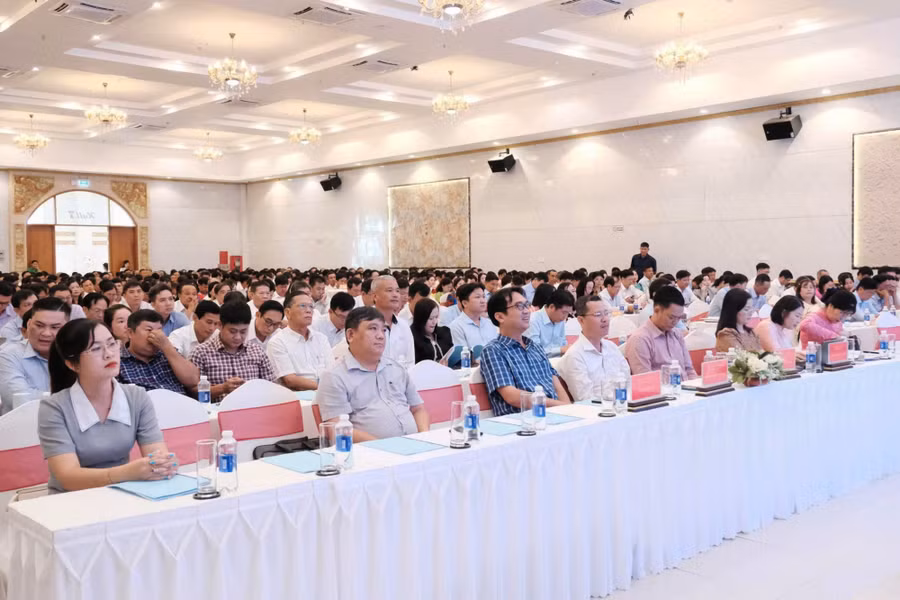 tieu-hoc-1.jpg