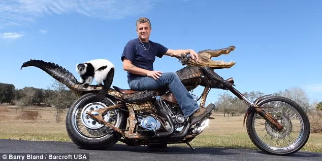 Jim Jablon on his GatorBike made from the hide of an alligator killed in Florida Read more: http://www.dailymail.co.uk/news/worldnews/article-1250891/Road-Kill-Alligator-killed-US.html#ixzz0faLg37q5