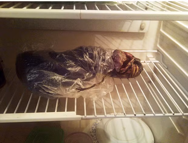 In a close encounter of the fridge kind, these images show what appears to be a chilled alien corpse. Marta Yegorovnam claims she kept this body in her freezer for two years in the city of Petrozavodsk, Russia. The evidence of alien life was photographed and released by authorities after she came forward with her story. She reported to the Karelian Academy of Science in Petrozavodsk that two years ago she heard an enormous crashing noise outside her home in the evening. She approached what appeared to be a crash site with flaming wreckage and crumpled metal which she described as ’unbearably hot’. Near the twisted hulk that she claims was a crashed UFO lay the dead body...