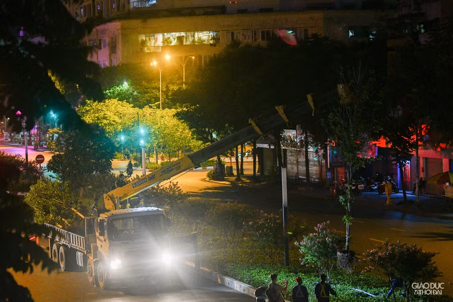 Tạm thời hàng phong lá đỏ sẽ được đưa về vườn ươm. Sau đó, sẽ xin ý kiến từ các chuyên gia rồi sẽ báo cáo lên Sở Xây dựng Hà Nội, từ đó mới tiến hành các phương án thích hợp, ông Mạnh cho biết.