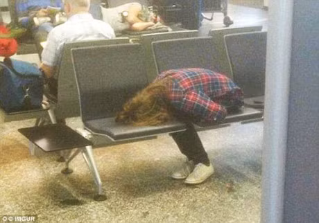 Bo anh hai huoc ve khoanh khac mon moi cho doi va xep hang tren khap the gioi - Anh 5