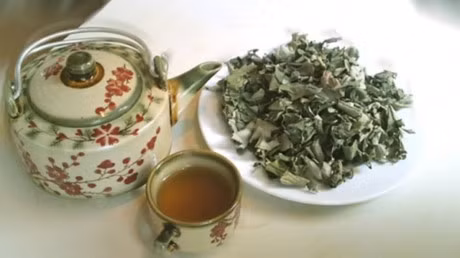 Bai thuoc quy chua benh tu qua nhot khong the khong biet - Anh 6