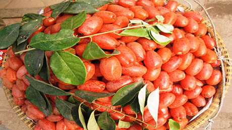 Bai thuoc quy chua benh tu qua nhot khong the khong biet - Anh 3