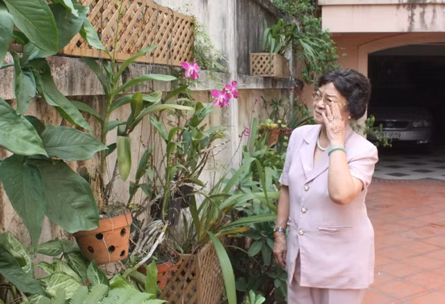 GS.Nguyễn Thu Nhạn bên những cây phong lan - một trong những kỷ vật của cố GS.Nguyễn Đình Tứ. Ảnh: gdtd.vn