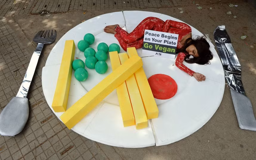 A PeTA activist lies on a huge plate during a demonstration urging the public to go vegan in Bangalore, India