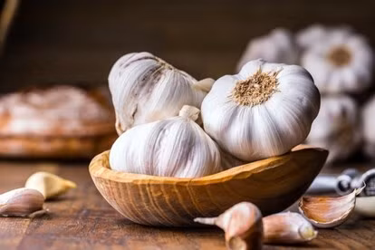 Tỏi được xem là một loại kháng sinh tự nhiên, có khả năng kích thích tiêu hóa
