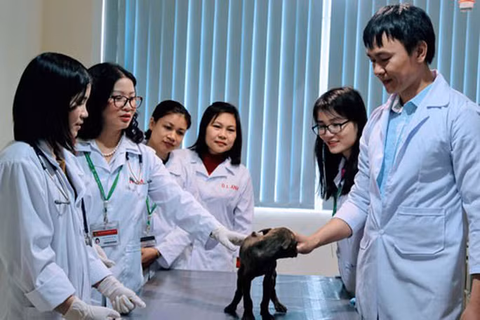 GS.TS Nguyễn Thị Lan (thứ hai từ trái qua) và các cộng sự