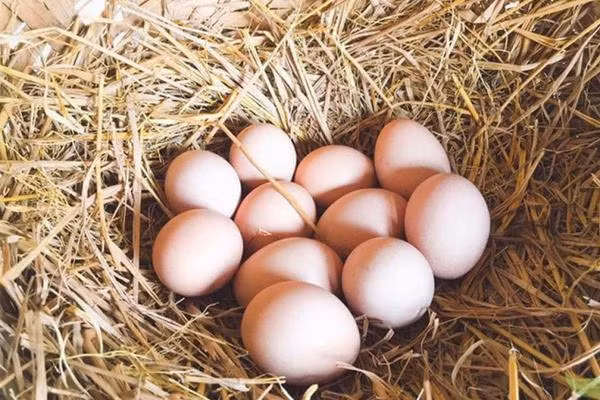 Trứng gà là thực phẩm phổ biến tại Việt Nam Trứng gà là thực phẩm phổ biến tại Việt Nam