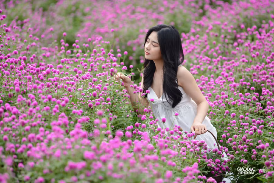 Nhiều bạn trẻ cho biết có cảm giác như lạc vào xứ sở thần tiên bởi độ rộng và vẻ đẹp của vườn cúc.