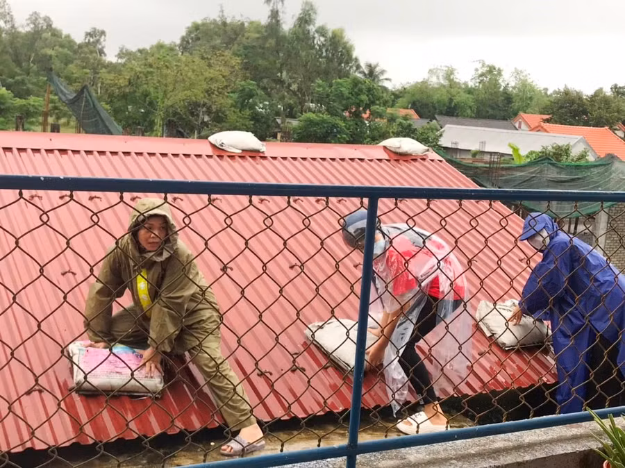 Nhiều cô giáo không ngại khó leo lên mái nhà chằng chống.