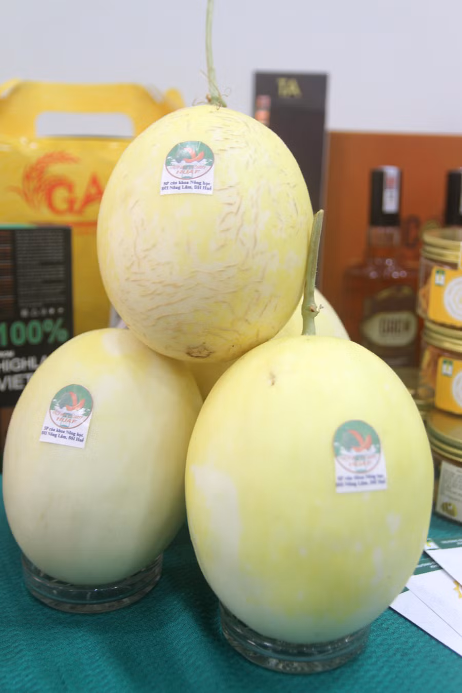 Dưa lưới - sản phẩm của Khoa Nông học. Dưa lưới - sản phẩm của Khoa Nông học.