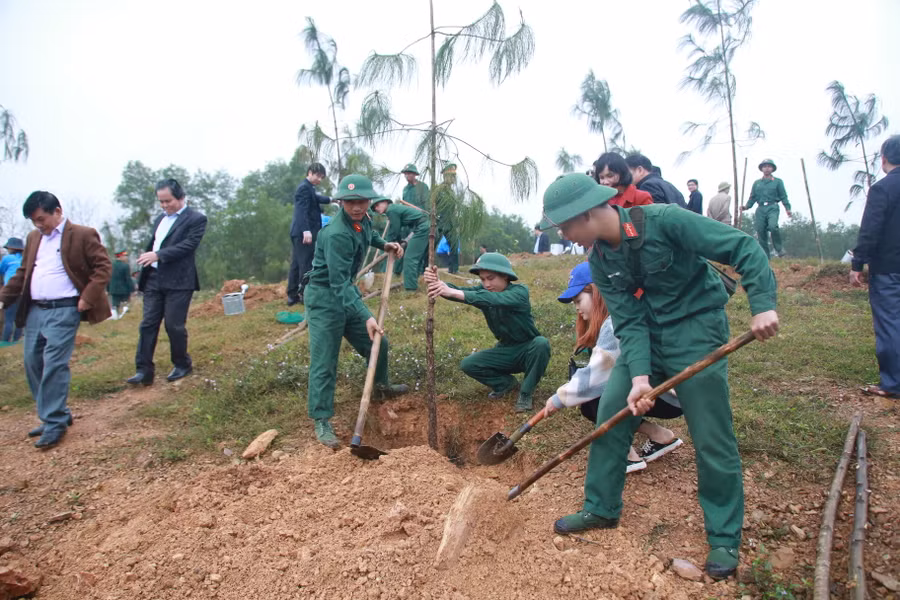 Các chiến sĩ thuộc Sư đoàn 968 tham gia trồng cây. (Ảnh: Đ. Đức).