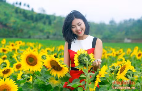 Hoa hau bien 2016 Dao Thi Ha: Hon nhien 