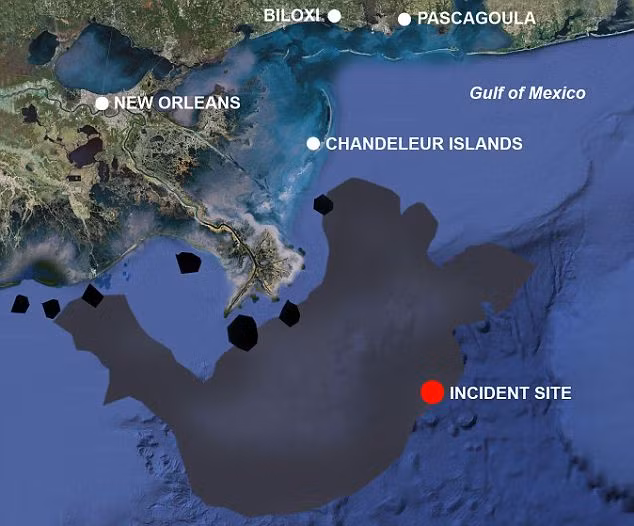 Mỹ: Gian nan chặn rò dầu ảnh 6 The black area shows the extent of the oil spill in the Gulf of Mexico Read more: http://www.dailymail.co.uk/news/worldnews/article-1282293/Gulf-oil-spill-BP-resumes-kill-efforts-Obama-accepts-responsibility.html#ixzz0pMqS7wjy
