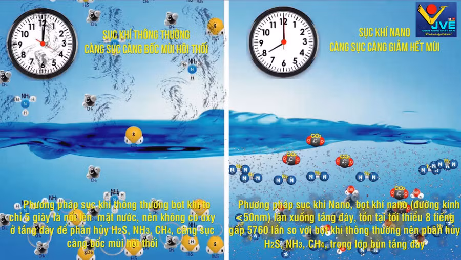 So sánh giữa sục khí thông thường và sục khí nano Nhật Bản.