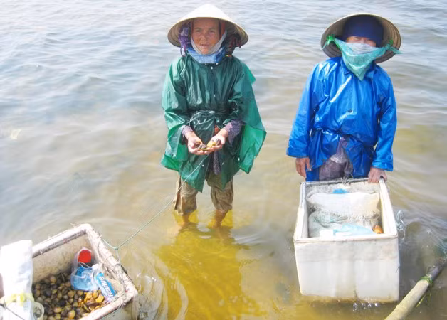 Những người phụ nữ lặn trìa kiếm tiền nuôi con, cháu ăn học Những người phụ nữ lặn trìa kiếm tiền nuôi con, cháu ăn học