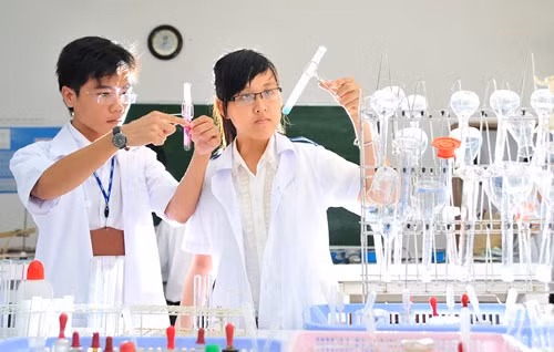 Giáo dục đại học nên tập trung phát triển nghiên cứu khoa học. Ảnh minh họa/internet