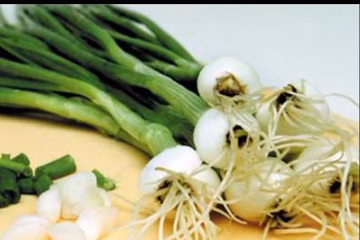 Công dụng chữa bệnh của hành