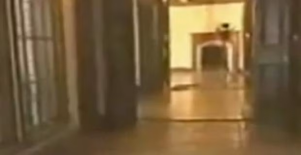 Những hiện tượng kỳ lạ trong năm 2009 ảnh 24 Michael Jackson fans were convinced video shows the singer’s ghost in his Neverland home