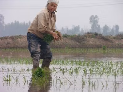 Triển khai sớm chương trình an sinh xã hội cho người nghèo, nông dân