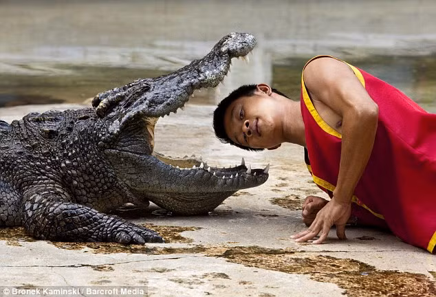 Nghề nguy hiểm nhất thế giới? ảnh 2