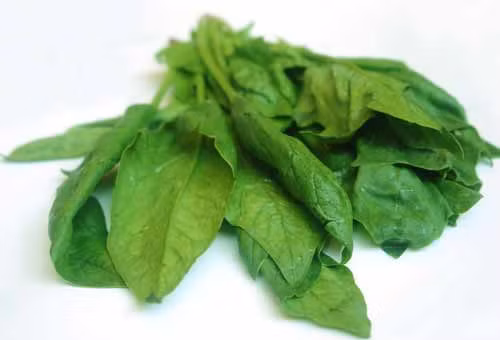 Thực phẩm tốt cho hệ thần kinh