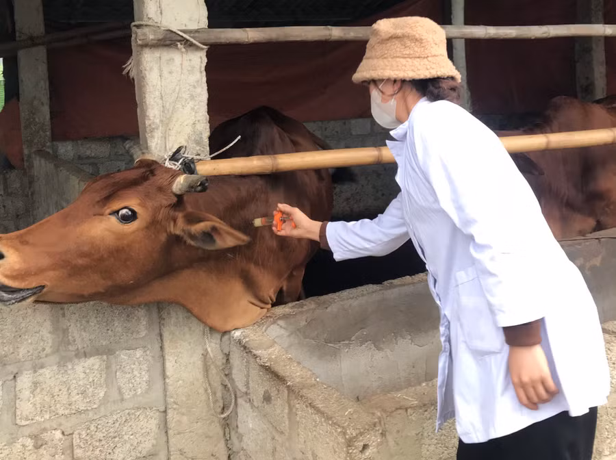 Xèn Thị Bơn trong một lần đi thực tập nghiên cứu khoa học tại cơ sở.