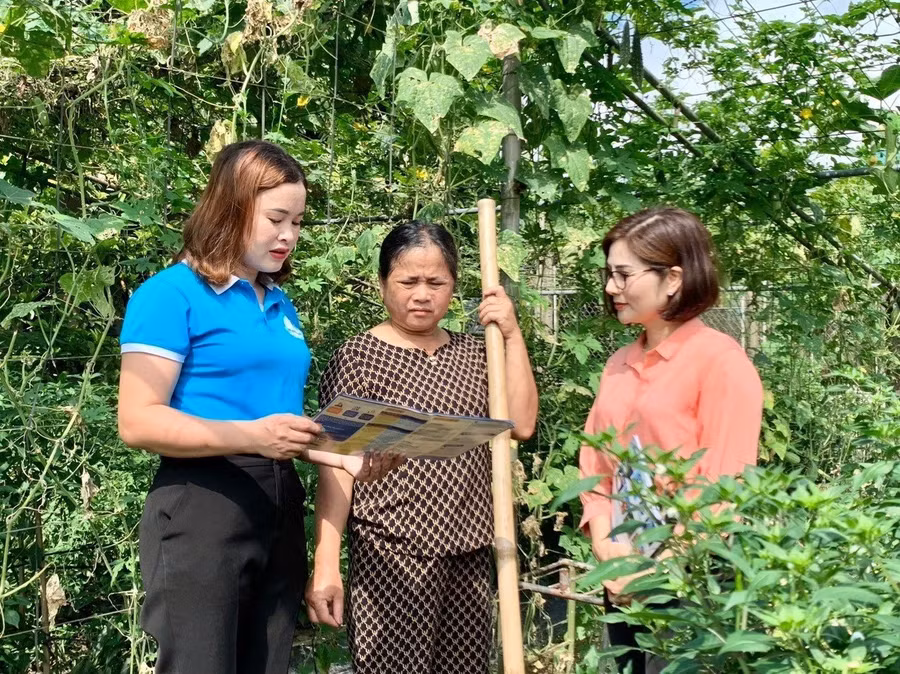 Tham gia CLB Vườn rau an sinh, các hội viên phụ nữ tại xã Tượng Sơn (tỉnh Hà Tĩnh) ngày càng hiểu rõ, tin tưởng, yên tâm, tích cực tham gia BHXH tự nguyện.