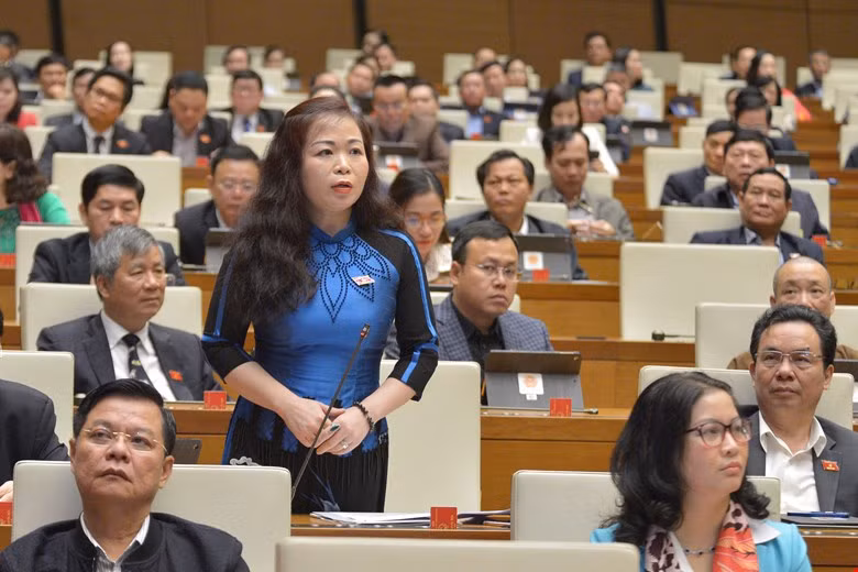 Đại biểu Vũ Thị Lưu Mai