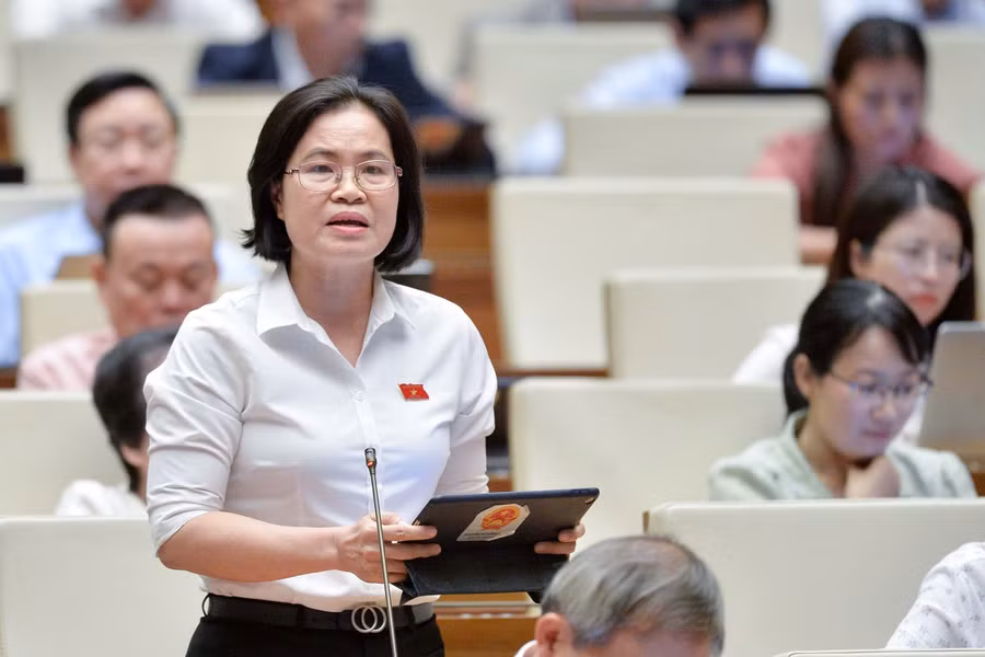 Đại biểu Nguyễn Thị Hồng Hạnh (Đoàn ĐBQH TPHCM).