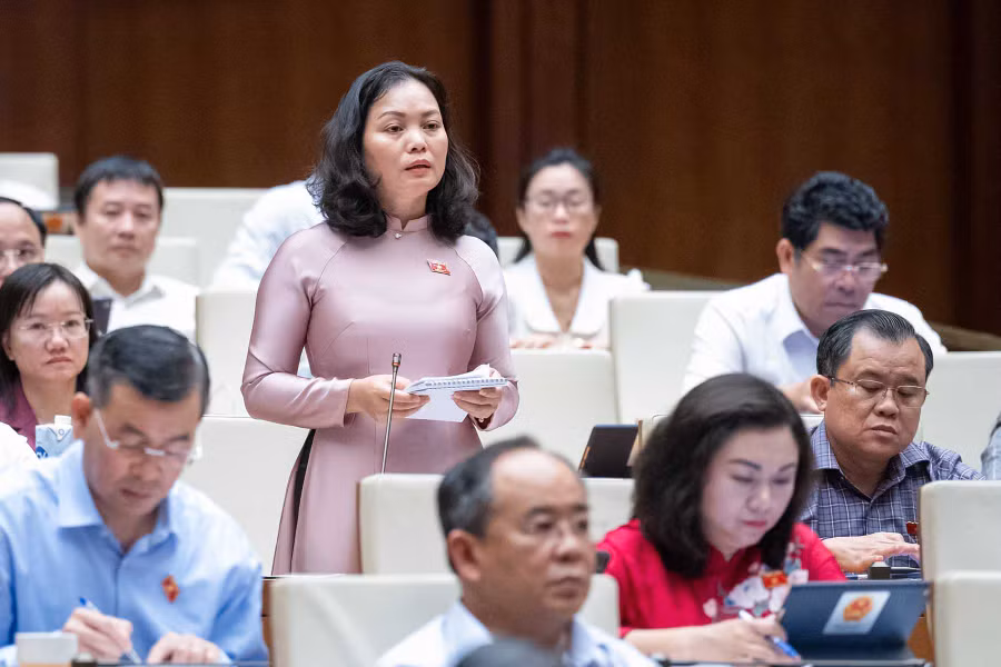 Đại biểu Huỳnh Thị Phúc (Đoàn ĐBQH tỉnh Bà Rịa - Vũng Tàu) phát biểu. Đại biểu Huỳnh Thị Phúc (Đoàn ĐBQH tỉnh Bà Rịa - Vũng Tàu) phát biểu.