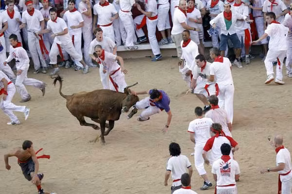 A reveller is tossed by a fighting cow during festivities in the bull ring after the first running of the bulls on the second day of the San Fermin festival in Pamplona July 7, 2010.