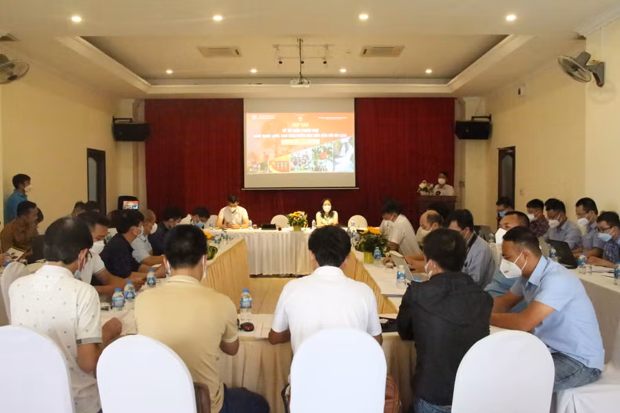 Họp báo giới thiệu phiên chợ sâm Ngọc Linh, các sản phẩm đặc hữu gắn với du lịch.
