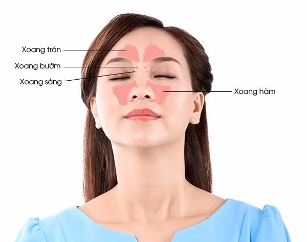 Chớ coi thường những hậu quả của viêm xoang! ảnh 3 hậu quả của viêm xoang